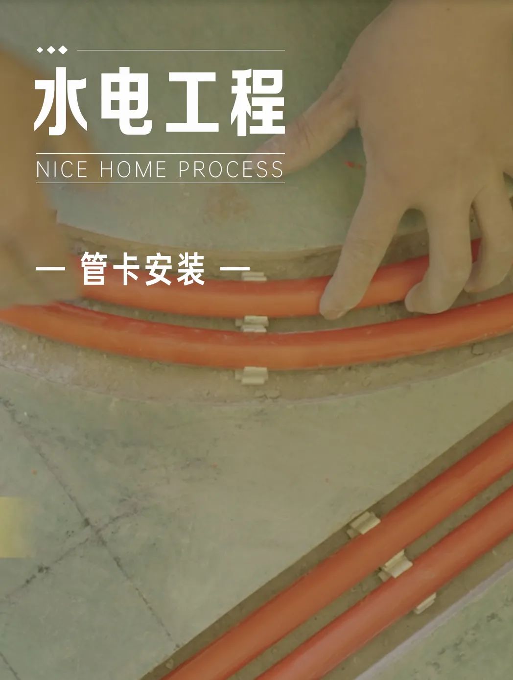 1712023305124968.jpg 微信圖片_20240402095903.jpg