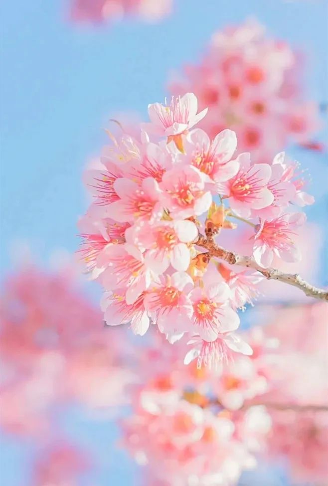 1712470104592504.jpg 微信圖片_20240407140353.jpg