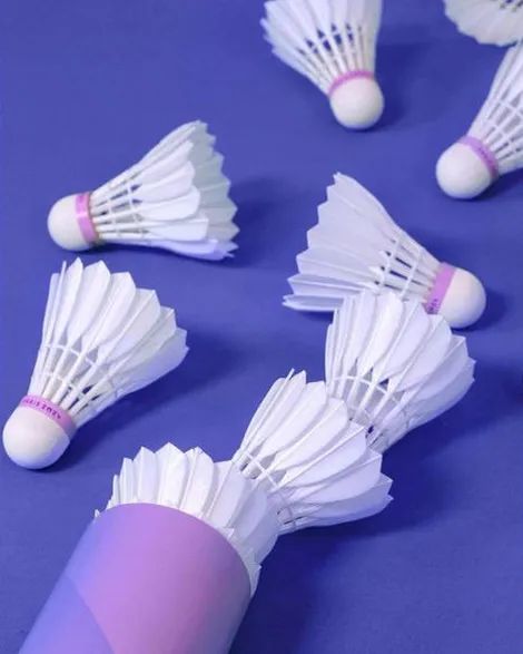 1723168177568148.jpg 微信圖片_20240809094632.jpg