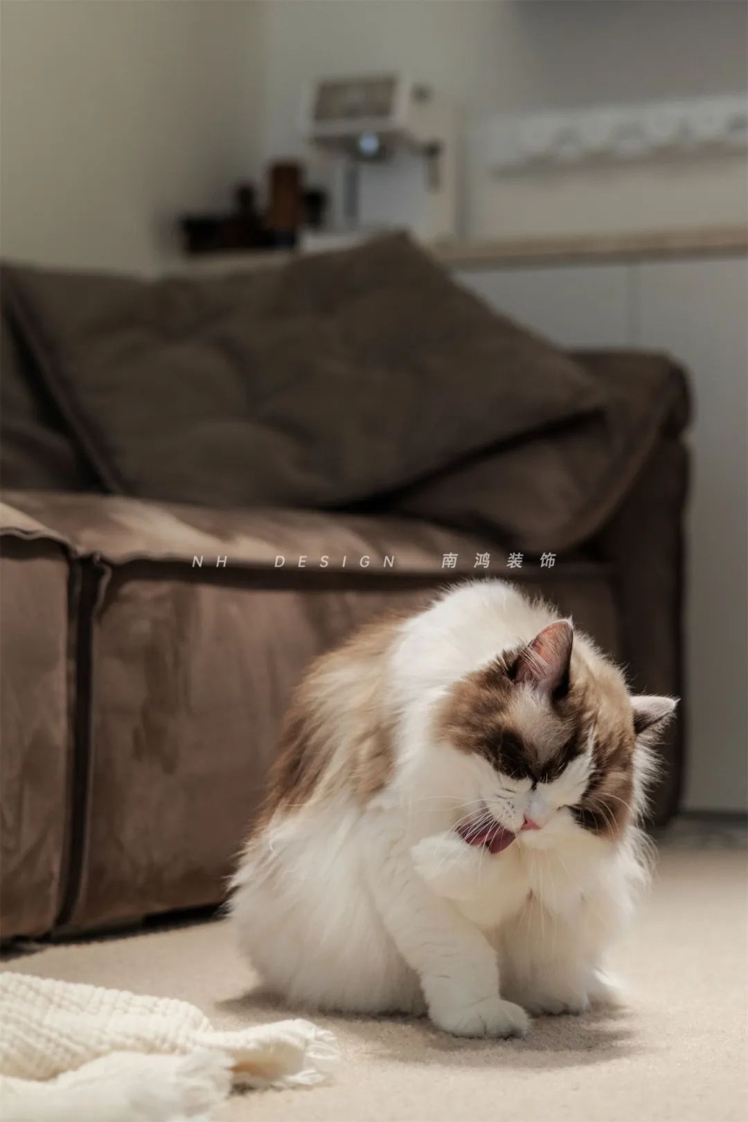 1730944923127331.jpg 微信圖片_20241107095724.jpg