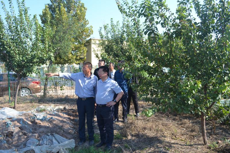 1538204793435674.jpg 1538204793435674.jpg