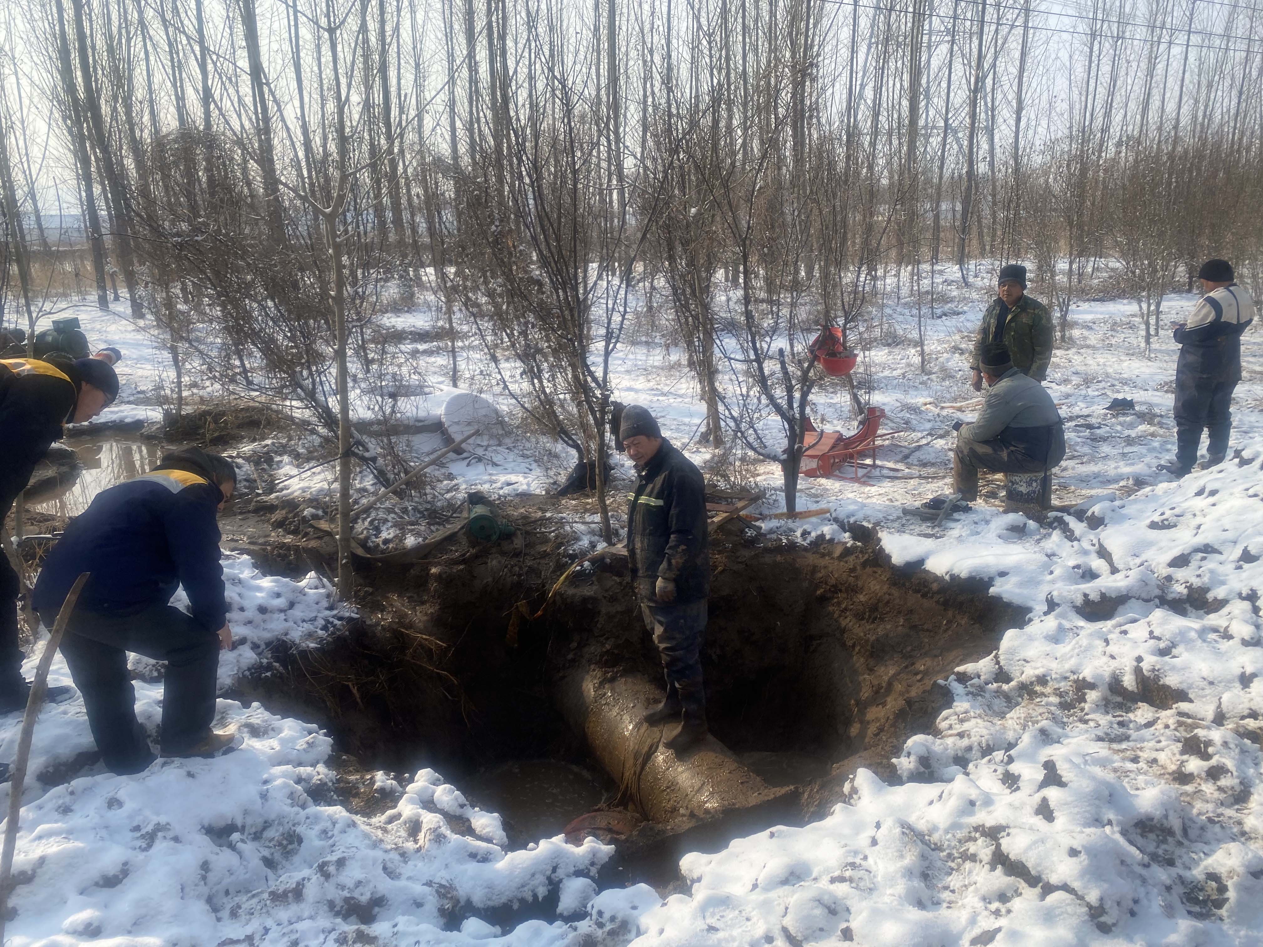 1708656534131961.jpg 圖片3.jpg