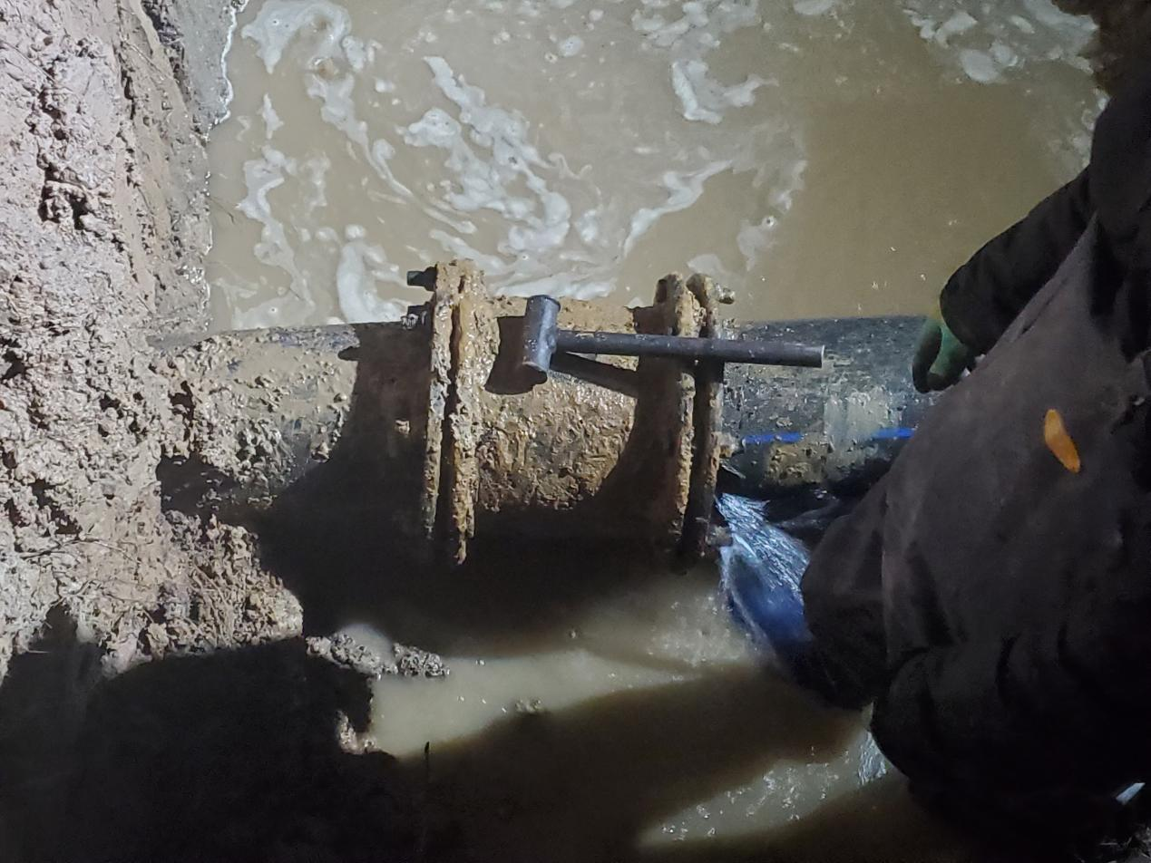 1736928877689059.png 圖片2.png